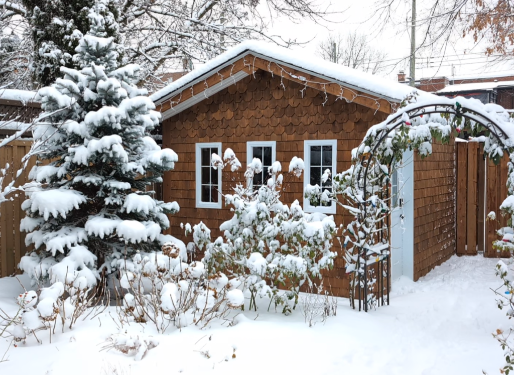 winter after DIY shed remodel